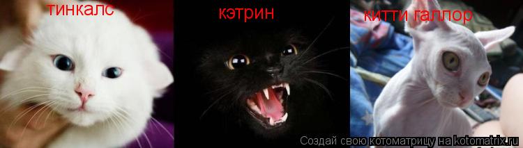 тинкалс кэтрин китти галлор... Котоматрица: тинкалс кэтрин китти галлор