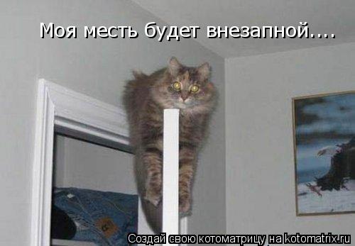 Моя месть будет внезапной....... Котоматрица: Моя месть будет внезапной....