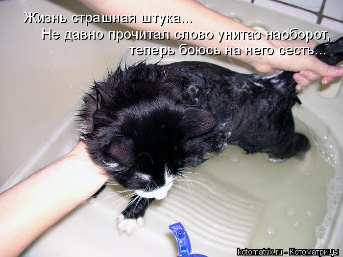 Жизнь страшная штука... Не давно прочитал слово унитаз наоборот, теперь боюсь на него сесть...... Котоматрица: Жизнь страшная штука... Не давно прочитал слово унитаз наоборот, теперь боюсь на него сесть...