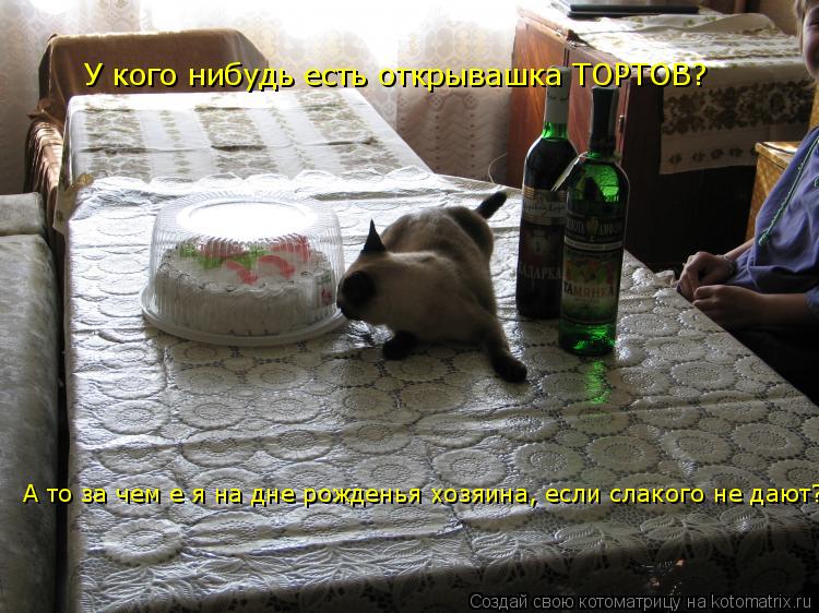 У кого нибудь есть открывашка ТОРТОВ? А то за чем е я на дне рожденья хозяина, если слакого не дают?!... Котоматрица: У кого нибудь есть открывашка ТОРТОВ? А то за чем е я на дне рожденья хозяина, если слакого не дают?!