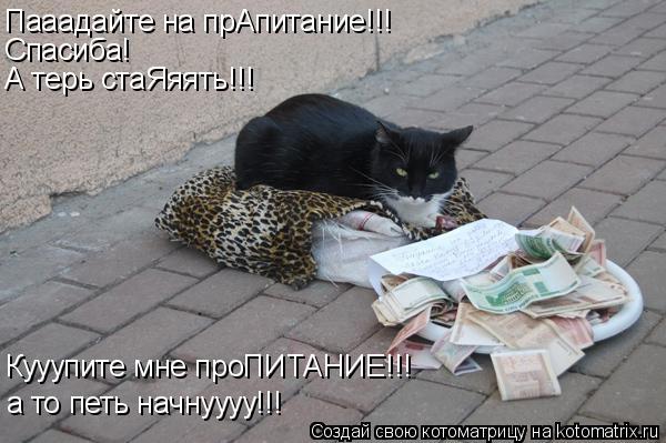 Пааадайте на прАпитание!!! Спасиба! А терь стаЯяять!!! Кууупите мне проПИТАНИЕ!!! а то петь начнуууу!... Котоматрица: Пааадайте на прАпитание!!! Спасиба! А терь стаЯяять!!! Кууупите мне проПИТАНИЕ!!! а то петь начнуууу!!!