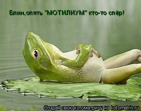 Блин,опять "МОТИЛИУМ" кто-то спёр!... Котоматрица: Блин,опять "МОТИЛИУМ" кто-то спёр!