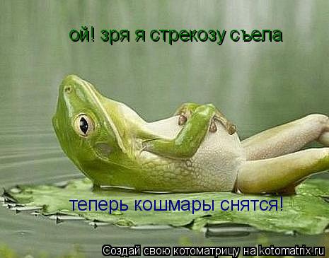 ой! зря я стрекозу съела теперь кошмары снятся!... Котоматрица: ой! зря я стрекозу съела теперь кошмары снятся!