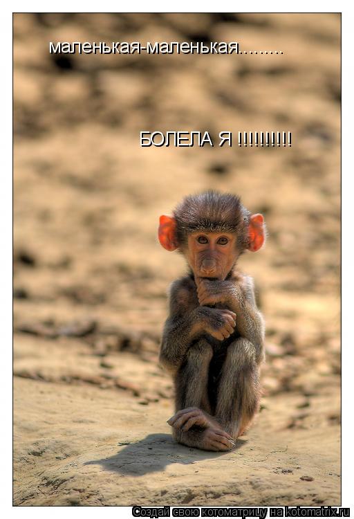 маленькая-маленькая......... БОЛЕЛА Я !!!!!!!!!! БОЛЕЛА Я !!!!!!!!!!... Котоматрица: маленькая-маленькая......... БОЛЕЛА Я !!!!!!!!!! БОЛЕЛА Я !!!!!!!!!!