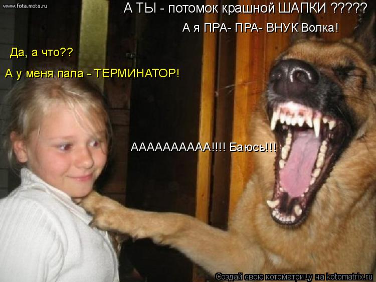 А ТЫ - потомок крашной ШАПКИ ????? Да, а что?? А я ПРА- ПРА- ВНУК Волка! А у меня папа - ТЕРМИНАТОР! ... Котоматрица: А ТЫ - потомок крашной ШАПКИ ????? Да, а что?? А я ПРА- ПРА- ВНУК Волка! А у меня папа - ТЕРМИНАТОР! АААААААААА!!!! Баюсь!!!