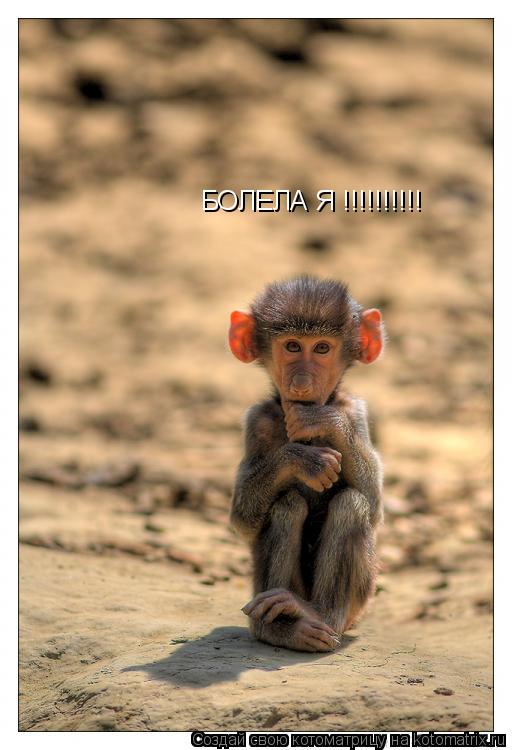 БОЛЕЛА Я !!!!!!!!!!... Котоматрица: БОЛЕЛА Я !!!!!!!!!!