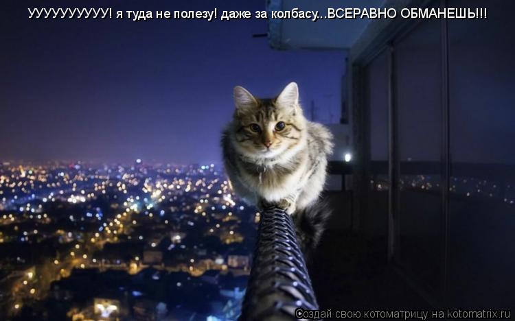 УУУУУУУУУУ! я туда не полезу! даже за колбасу...ВСЕРАВНО ОБМАНЕШЬ!!!... Котоматрица: УУУУУУУУУУ! я туда не полезу! даже за колбасу...ВСЕРАВНО ОБМАНЕШЬ!!!