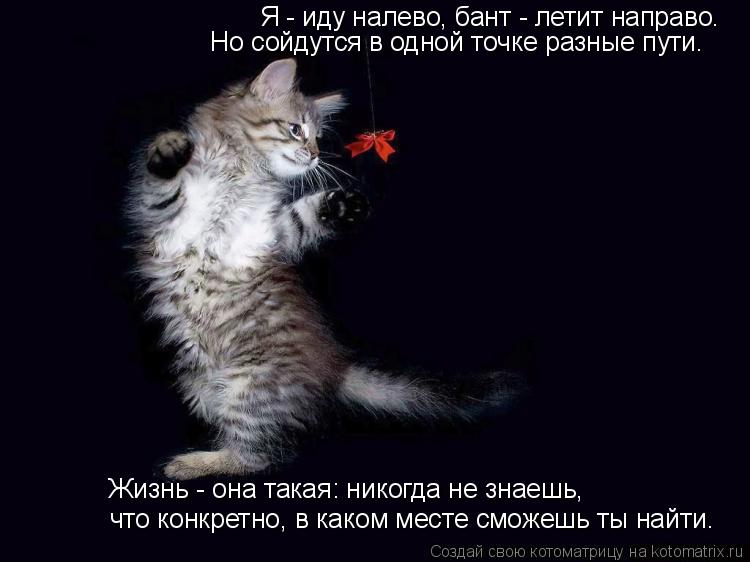 Я - иду налево, бант - летит направо. что конкретно, в каком месте сможешь ты найти. Жизнь - она така... Котоматрица: Я - иду налево, бант - летит направо. что конкретно, в каком месте сможешь ты найти. Жизнь - она такая: никогда не знаешь, Но сойдутся в одной то