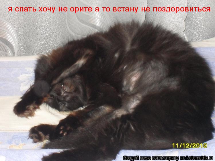 я спать хочу не орите а то встану не поздоровиться... Котоматрица: я спать хочу не орите а то встану не поздоровиться