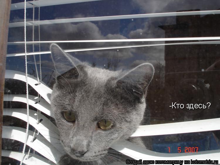 -Кто здесь?... Котоматрица: -Кто здесь?