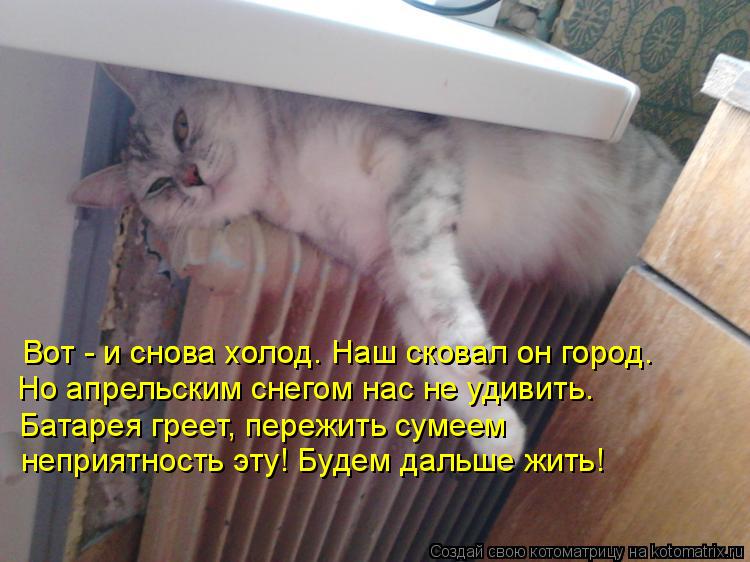Вот - и снова холод. Наш сковал он город. Вот - и снова холод. Наш сковал он город. Но апрельским сне... Котоматрица: Вот - и снова холод. Наш сковал он город. Вот - и снова холод. Наш сковал он город. Но апрельским снегом нас не удивить. Батарея греет, пережить