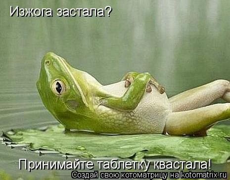 Изжога застала? Принимайте таблетку квастала!... Котоматрица: Изжога застала? Принимайте таблетку квастала!