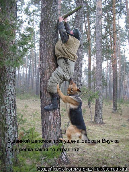 В данной цепочке пропущена Бабка и Внучка Да и репка какая-то странная... Котоматрица: В данной цепочке пропущена Бабка и Внучка Да и репка какая-то странная