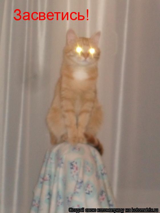 Засветись!... Котоматрица: Засветись!
