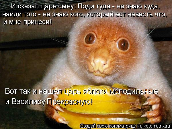 ...И сказал царь сыну: Поди туда - не знаю куда, найди того - не знаю кого, который ест невесть что, ... Котоматрица: ...И сказал царь сыну: Поди туда - не знаю куда, найди того - не знаю кого, который ест невесть что, и мне принеси! Вот так и нашел царь яблоки мол