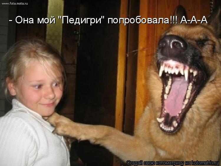 - Она мой "Педигри" попробовала!!! А-А-А... Котоматрица: - Она мой "Педигри" попробовала!!! А-А-А