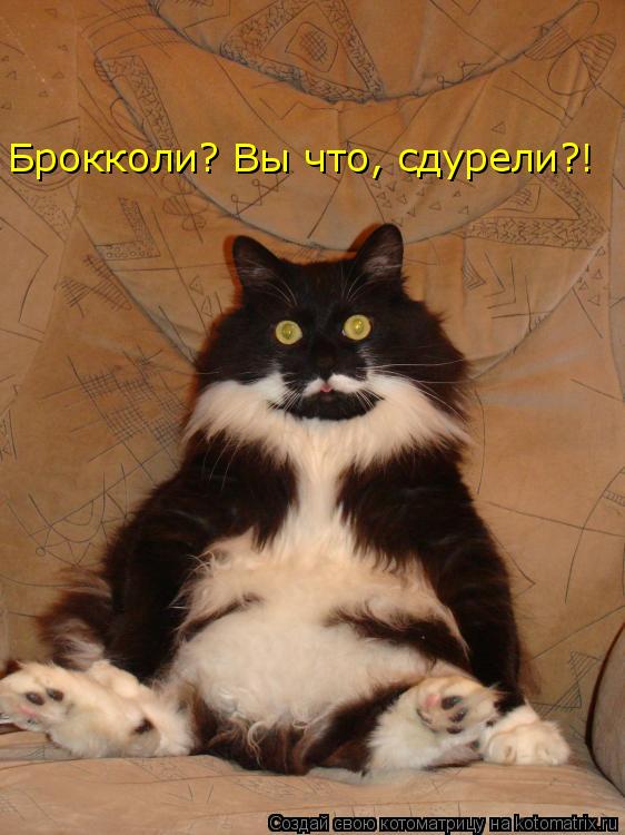Котоматрица: Брокколи? Вы что, сдурели?!