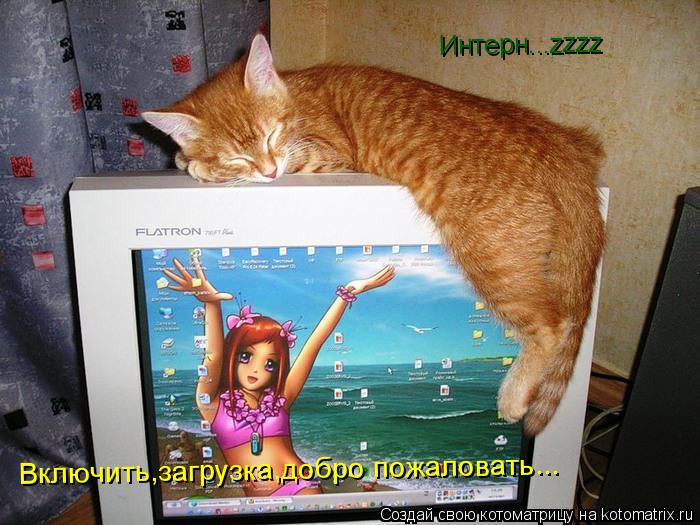 Котоматрица: Включить,загрузка,добро пожаловать... Интерн...zzzz