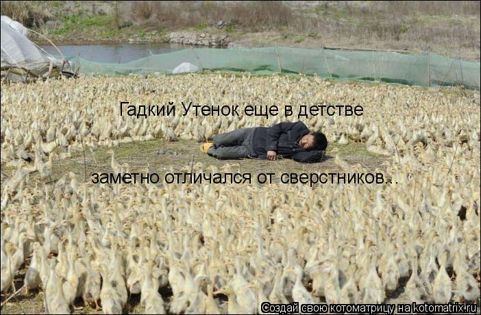 Гадкий Утенок еще в детстве заметно отличался от сверстников...... Котоматрица: Гадкий Утенок еще в детстве заметно отличался от сверстников...