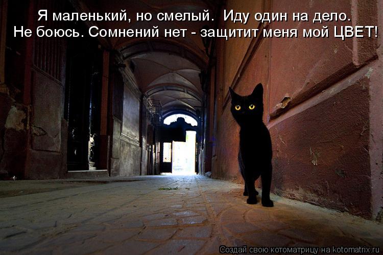 Котоматрица: Я маленький, но смелый.  Иду один на дело. Не боюсь. Сомнений нет - защитит меня мой ЦВЕТ!