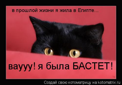 в прошлой жизни я жила в Египте... ваууу! я была БАСТЕТ!... Котоматрица: в прошлой жизни я жила в Египте... ваууу! я была БАСТЕТ!