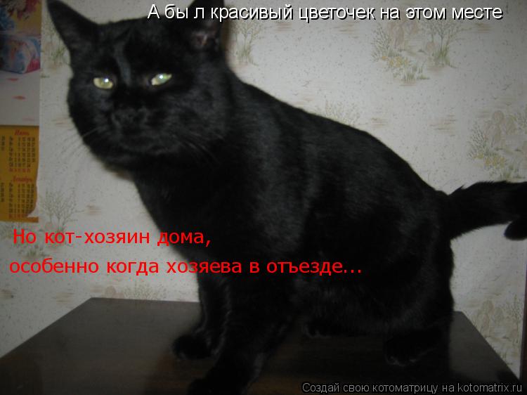 А бы л красивый цветочек на этом месте Но кот-хозяин дома, особенно когда хозяева в отъезде...... Котоматрица: А бы л красивый цветочек на этом месте Но кот-хозяин дома, особенно когда хозяева в отъезде...