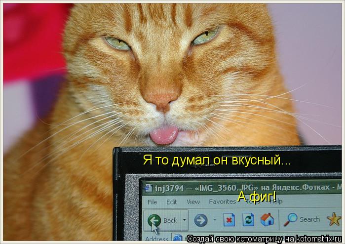 Я то думал он вкусный... А фиг!... Котоматрица: Я то думал он вкусный... А фиг!