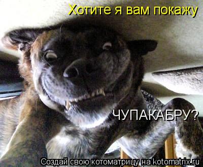 Хотите я вам покажу ЧУПАКАБРУ?... Котоматрица: Хотите я вам покажу ЧУПАКАБРУ?