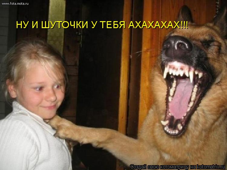НУ И ШУТОЧКИ У ТЕБЯ АХАХАХАХ!!!... Котоматрица: НУ И ШУТОЧКИ У ТЕБЯ АХАХАХАХ!!!