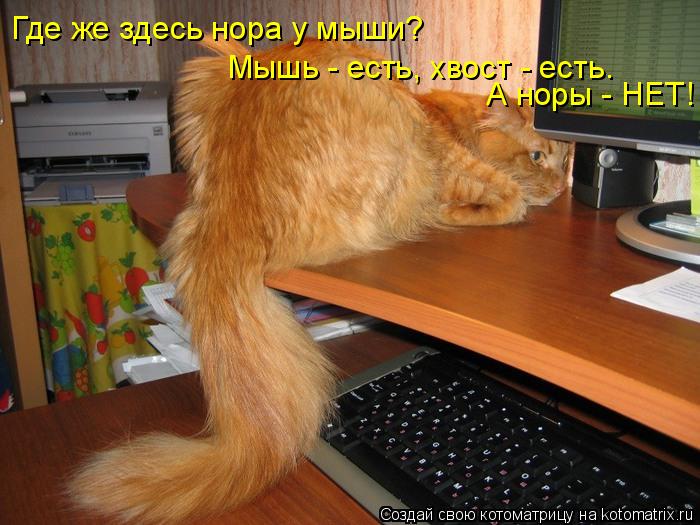 Где же здесь нора у мыши? Мышь - есть, хвост - есть. А норы - НЕТ!... Котоматрица: Где же здесь нора у мыши? Мышь - есть, хвост - есть. А норы - НЕТ!