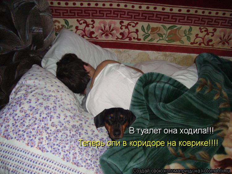 В туалет она ходила!!! Теперь спи в коридоре на коврике!!!!... Котоматрица: В туалет она ходила!!! Теперь спи в коридоре на коврике!!!!
