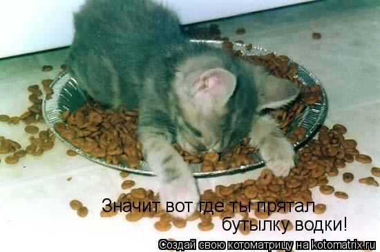 Значит вот где ты прятал бутылку водки!... Котоматрица: Значит вот где ты прятал бутылку водки!