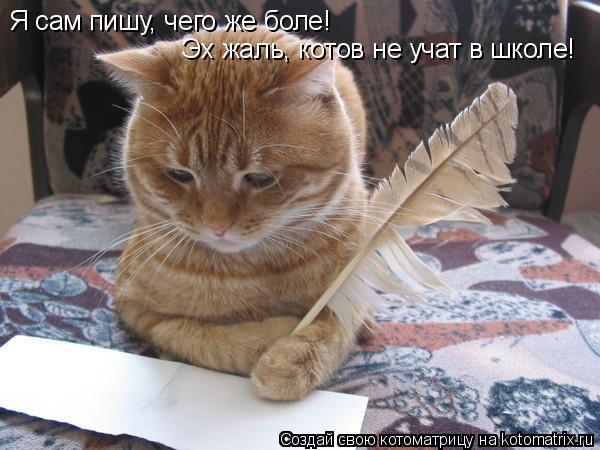 Я сам пишу, чего же боле! Эх жаль, котов не учат в школе!... Котоматрица: Я сам пишу, чего же боле! Эх жаль, котов не учат в школе!