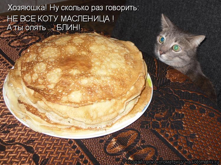 Хозяюшка! Ну сколько раз говорить: НЕ ВСЕ КОТУ МАСЛЕНИЦА ! А ты опять ... БЛИН!... Котоматрица: Хозяюшка! Ну сколько раз говорить: НЕ ВСЕ КОТУ МАСЛЕНИЦА ! А ты опять ... БЛИН!