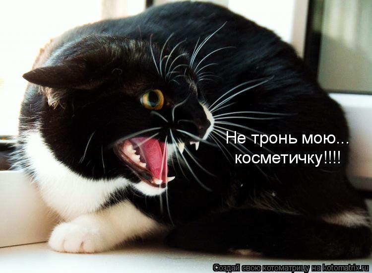 Не тронь мою... косметичку!!!!... Котоматрица: Не тронь мою... косметичку!!!!