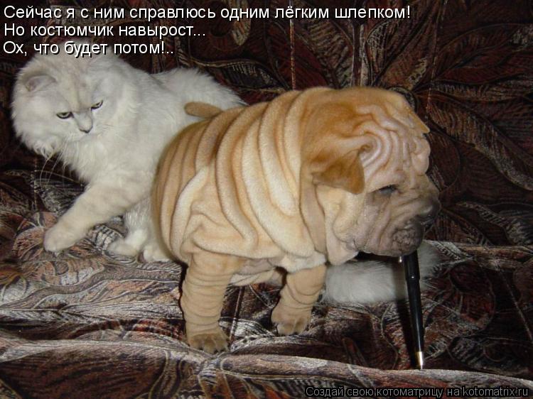 Но костюмчик навырост... Ох, что будет потом!.. Сейчас я с ним справлюсь одним лёгким шлепком!... Котоматрица: Но костюмчик навырост... Ох, что будет потом!.. Сейчас я с ним справлюсь одним лёгким шлепком!