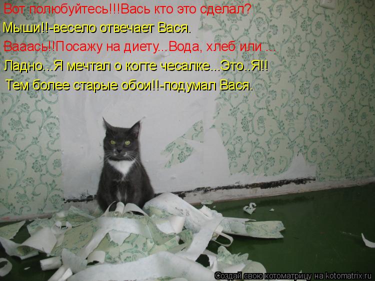 Вот полюбуйтесь!!!Вась кто это сделал? Мыши!!-весело отвечает Вася. Вааась!!Посажу на диету...Вода, х... Котоматрица: Вот полюбуйтесь!!!Вась кто это сделал? Мыши!!-весело отвечает Вася. Вааась!!Посажу на диету...Вода, хлеб или ... Ладно...Я мечтал о когте чесалке...