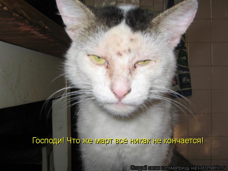 Господи! Что же март всё никак не кончается!... Котоматрица: Господи! Что же март всё никак не кончается!