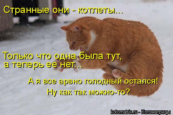 Странные они - котлеты... а теперь ее нет... А я все арвно голодный остался! Ну как так можно-то? Тол... Котоматрица: Странные они - котлеты... а теперь ее нет... А я все арвно голодный остался! Ну как так можно-то? Только что одна была тут,