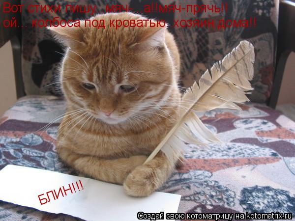 Вот стихи пишу...мяч-...а!!мяч-прячь!! ой... колбоса под кроватью..хозяин дома!! БЛИН!!!... Котоматрица: Вот стихи пишу...мяч-...а!!мяч-прячь!! ой... колбоса под кроватью..хозяин дома!! БЛИН!!!