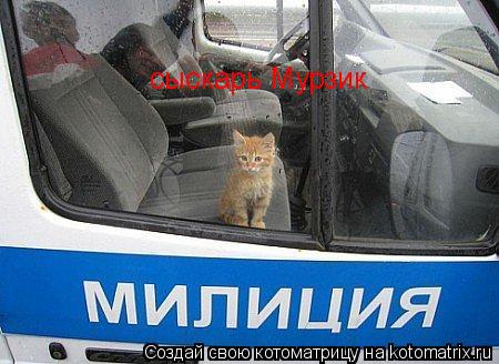 сыскарь Мурзик... Котоматрица: сыскарь Мурзик