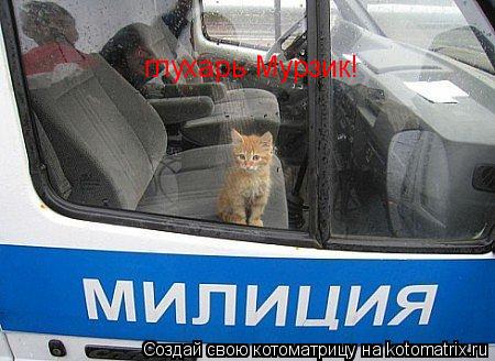 глухарь Мурзик!... Котоматрица: глухарь Мурзик!