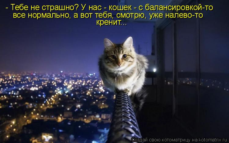 - Тебе не страшно? У нас - кошек - с балансировкой-то все нормально, а вот тебя, смотрю, уже налево-т... Котоматрица: - Тебе не страшно? У нас - кошек - с балансировкой-то все нормально, а вот тебя, смотрю, уже налево-то кренит...