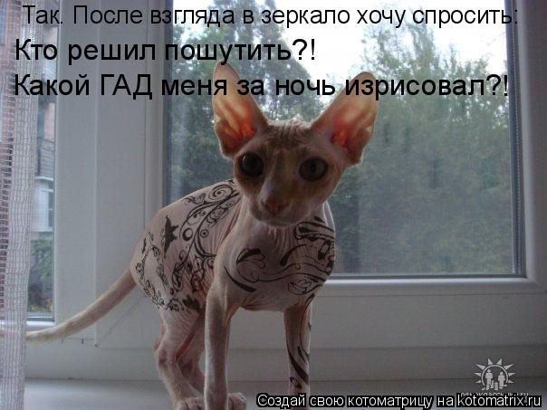 Так. После взгляда в зеркало хочу спросить: Какой ГАД меня за ночь изрисовал? Кто решил пошутить?! !... Котоматрица: Так. После взгляда в зеркало хочу спросить: Какой ГАД меня за ночь изрисовал? Кто решил пошутить?! !
