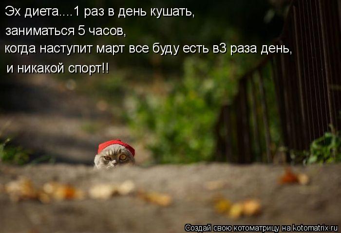 Эх диета....1 раз в день кушать, заниматься 5 часов, когда наступит март все буду есть в3 раза день, ... Котоматрица: Эх диета....1 раз в день кушать, заниматься 5 часов, когда наступит март все буду есть в3 раза день, и никакой спорт!!