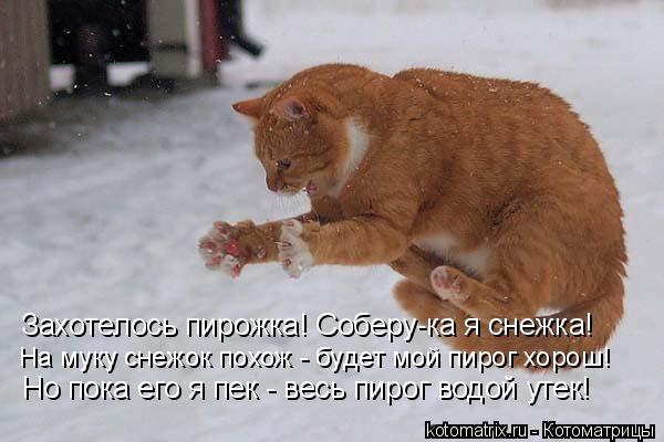 Захотелось пирожка! Соберу-ка я снежка! На муку снежок похож - будет мой пирог хорош! Но пока его я п... Котоматрица: Захотелось пирожка! Соберу-ка я снежка! На муку снежок похож - будет мой пирог хорош! Но пока его я пек - весь пирог водой утек!