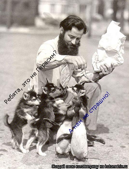 Ребята, это не Герасим? А нам не страшно!... Котоматрица: Ребята, это не Герасим? А нам не страшно!