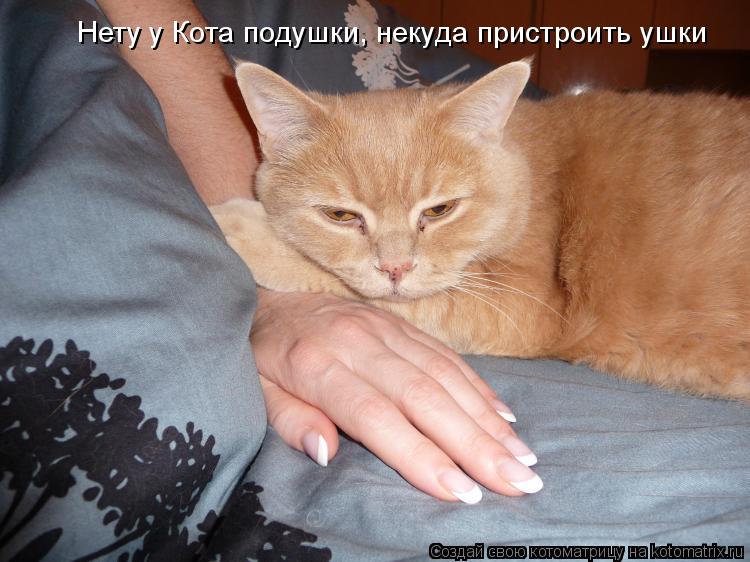 Нету у Кота подушки, некуда пристроить ушки... Котоматрица: Нету у Кота подушки, некуда пристроить ушки