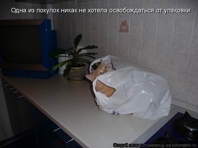 Одна из покупок никак не хотела освобождаться от упаковки... Котоматрица: Одна из покупок никак не хотела освобождаться от упаковки