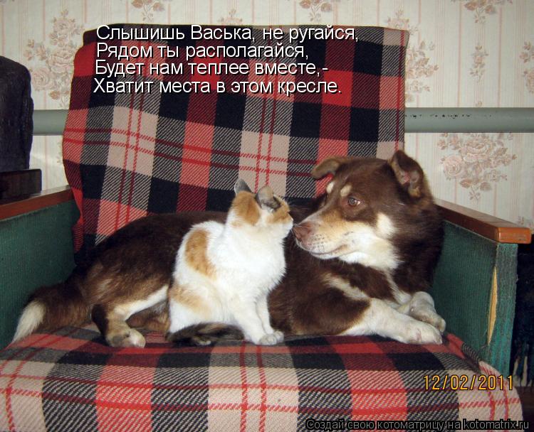 Слышишь Васька, не ругайся, Рядом ты располагайся, Будет нам теплее вместе,- Хватит места в этом крес... Котоматрица: Слышишь Васька, не ругайся, Рядом ты располагайся, Будет нам теплее вместе,- Хватит места в этом кресле.